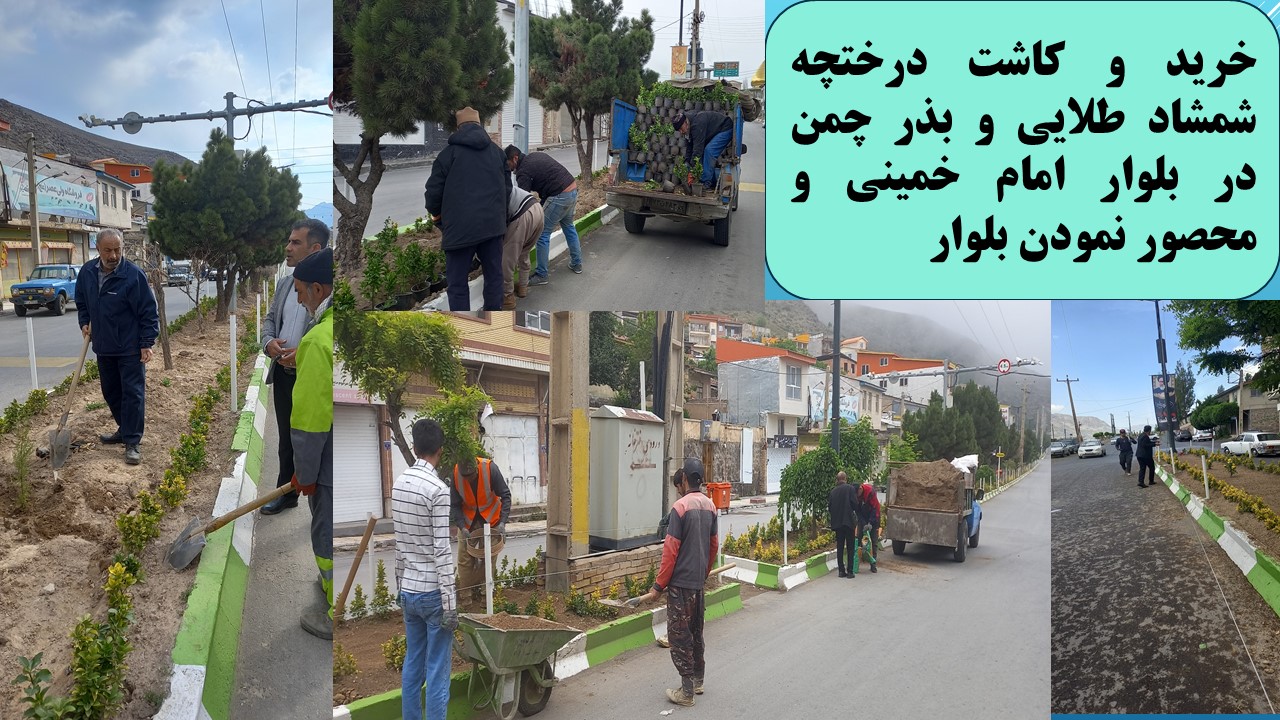 خرید و کاشت درختچه شمشاد طلایی و بذر چمن در بلوار امام خمینی و محصور نمودن بلوار- تاریخ اجرا سال 1403
